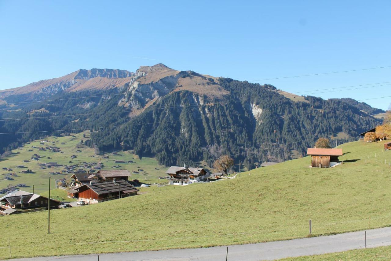 Chalet Weissenberg Lenk Exterior photo